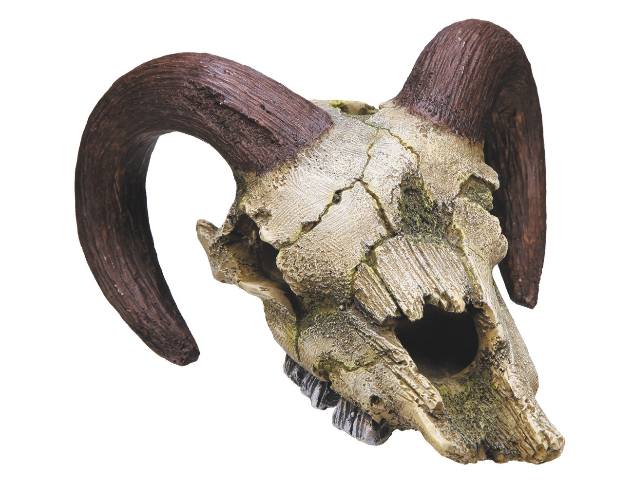 Nobby Ram Skull Aquarium Ornaments, 17.5 x 16 x 9.5 cm