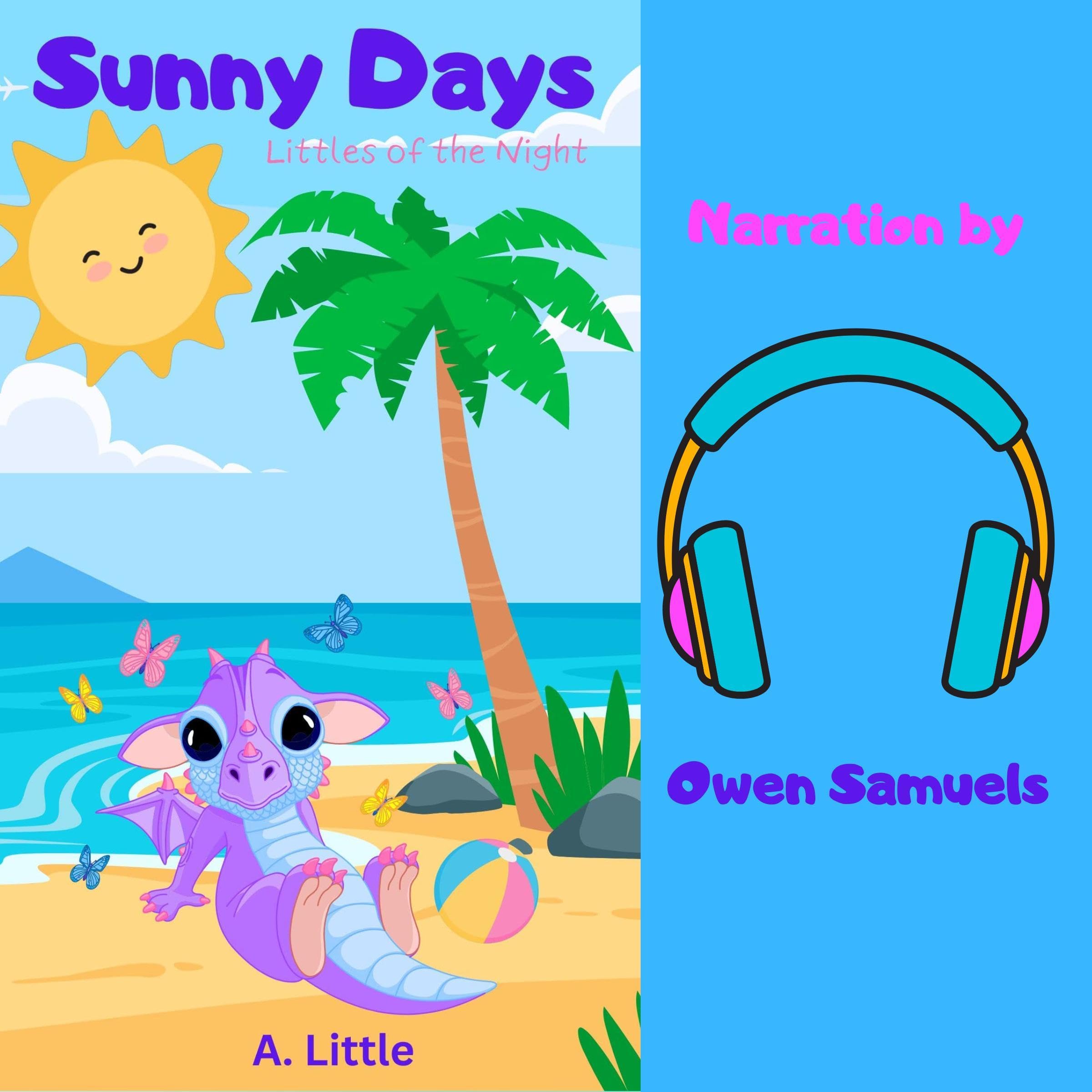 Cover art for Sunny Days