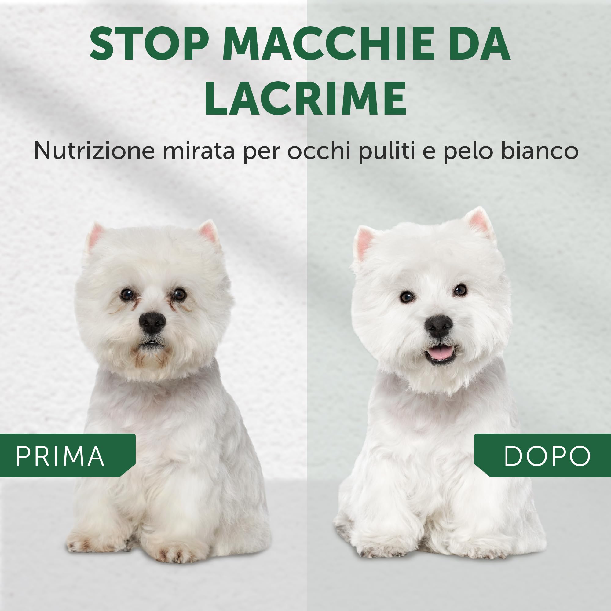Natures PROT White Dog Adult Small Grain Free Insectos 1,5KG