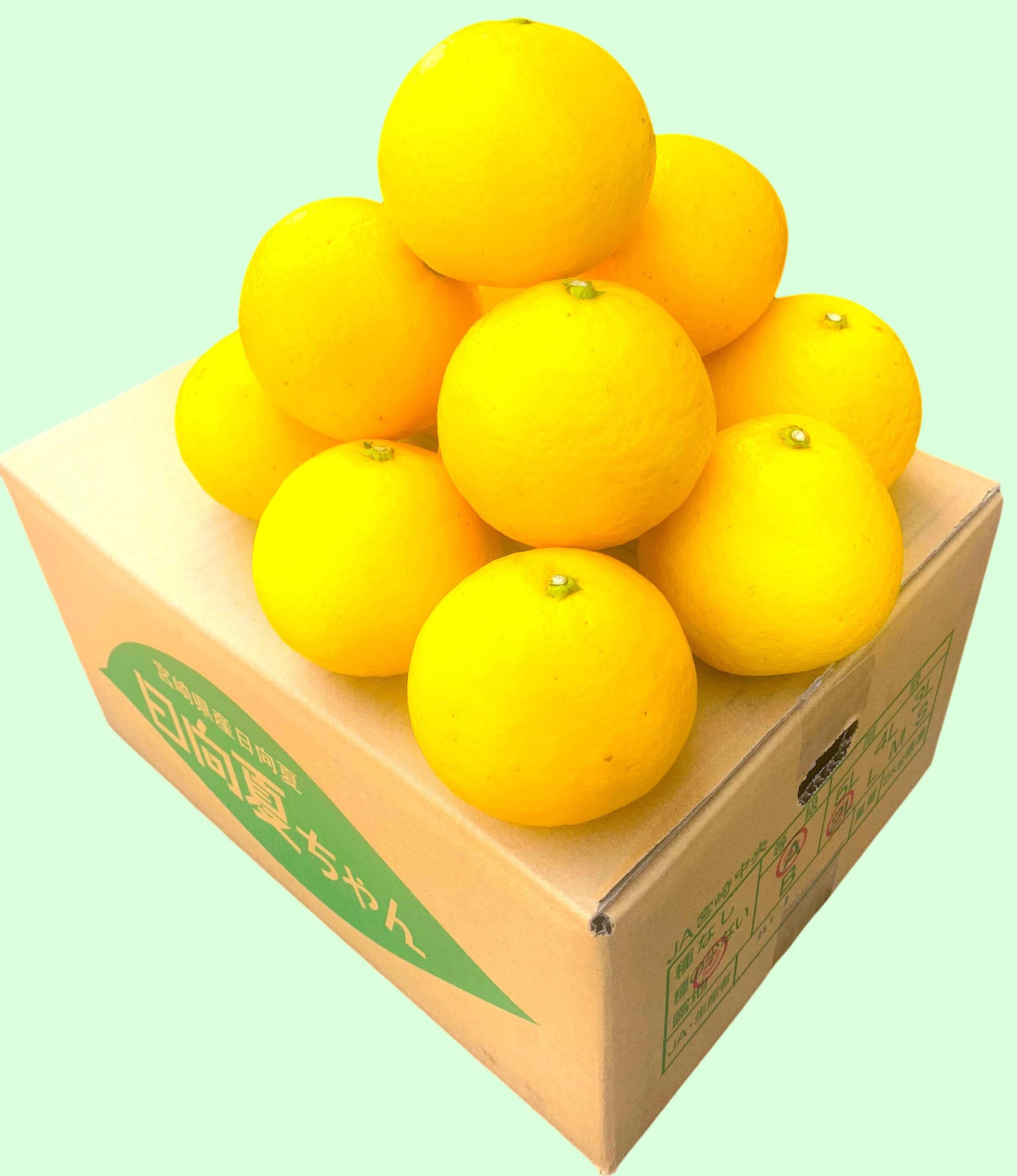 Amazon.co.jp: 【日向夏みかん】2.0kg 特選 日向夏／爽やかな酸味と