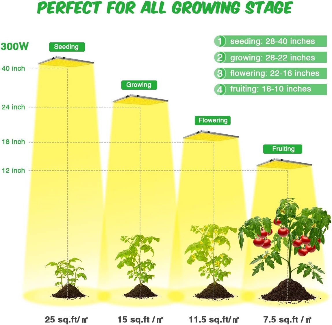 Diagram showing optimal light heights for different plant growth stages