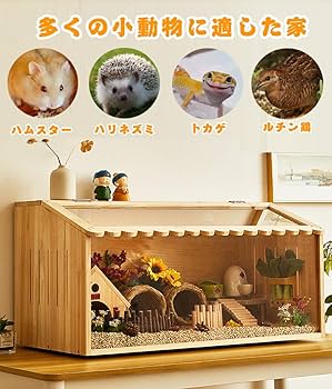 Amazon.co.jp: 爬虫類ケージ 通気性テラリウム 大型ハムスター