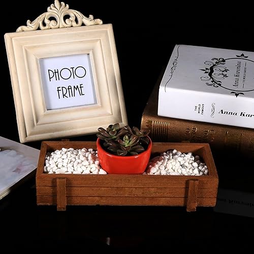 Miniatura 2 de Caja de plantas suculentas, 8.9 x 3.3 x 1.6 in, flores de madera para plantas suculentas, plantas poco profundas, caja rectangular para exhibir en