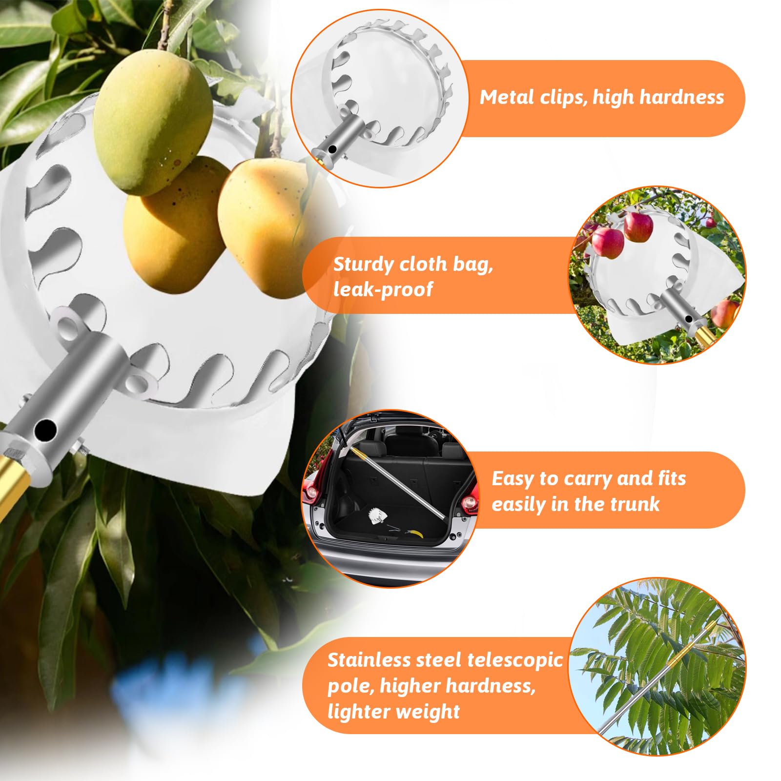 Asticcio Raccoglifrutta Telescopico,Bastone Raccogli Frutta,Raccogli Frutta con Palo in Acciaio Inox Leggero,Facile da Montare,per la Raccolta della Frutta da frutteto