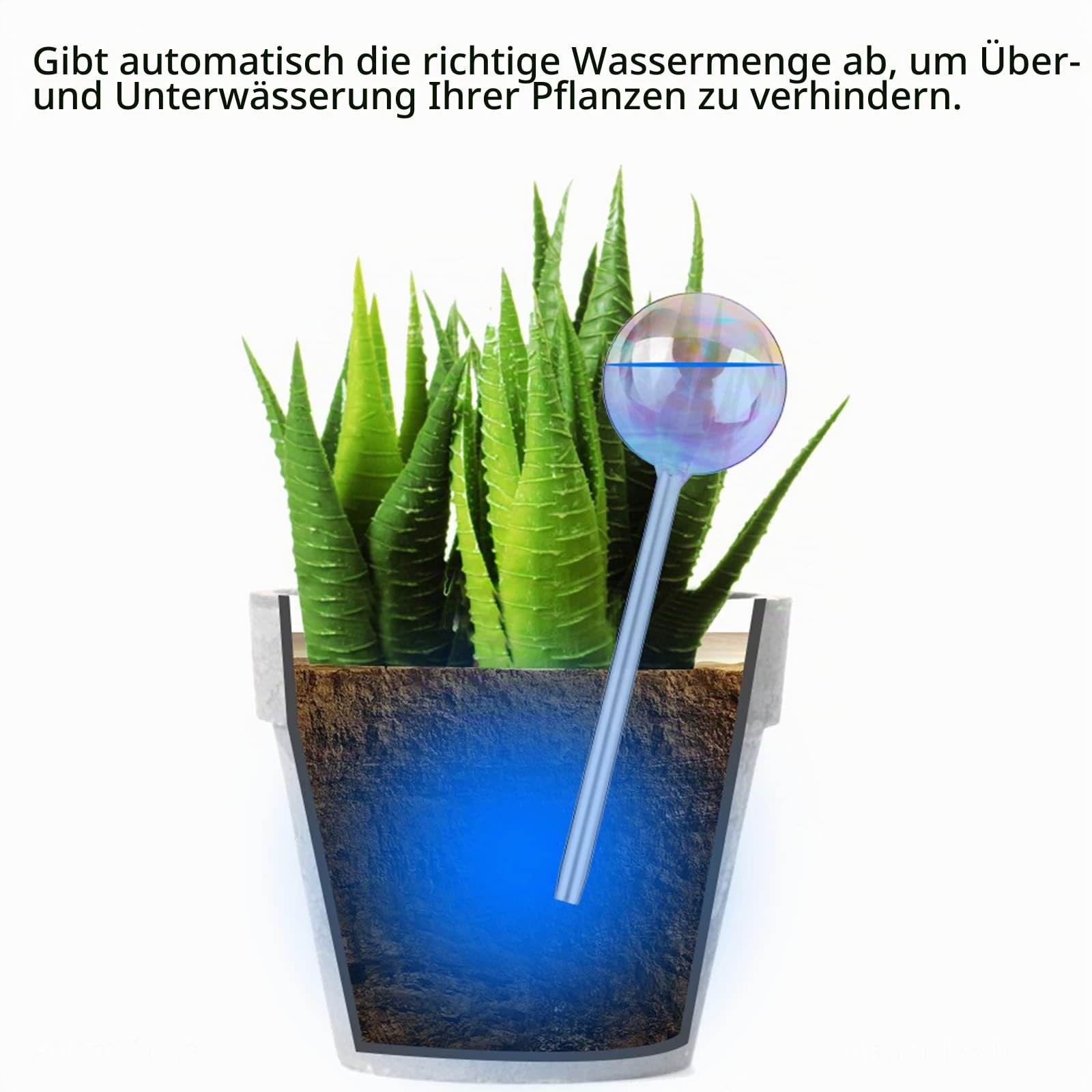 Tomorotec [6 Stück Licht schillernde Regenbogen-Farbverlauf, klares Glas, selbstbewässerndes System, Spikes, Automatische Pflanzenbewässerungsbirnen