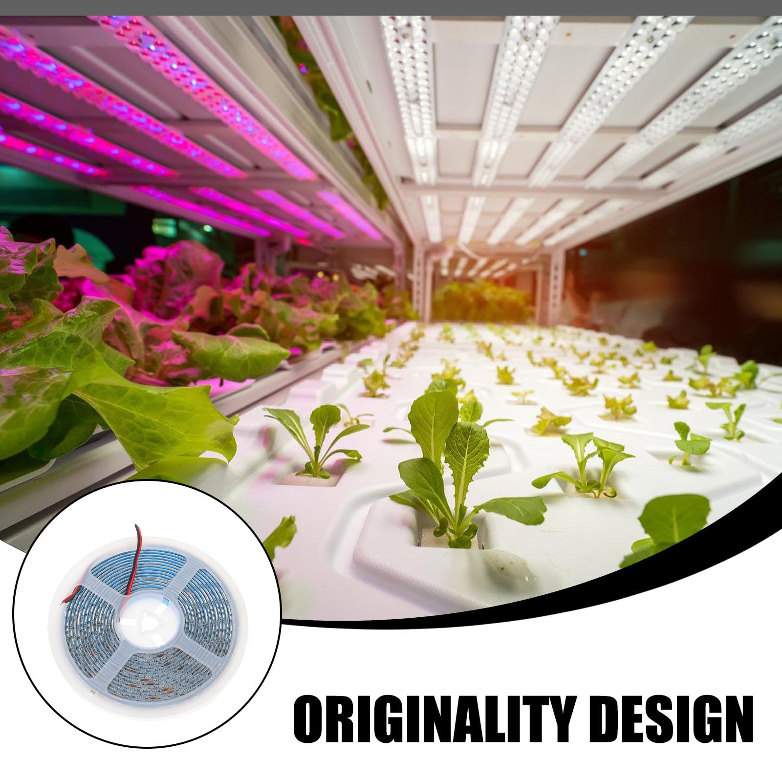 Bande Lumineuse LED de Croissance 5 Mètres Étanche Smd 5050 pour Plantes de Serrage Légumes et Fleurs Flexible Facile à Installer pour Semis