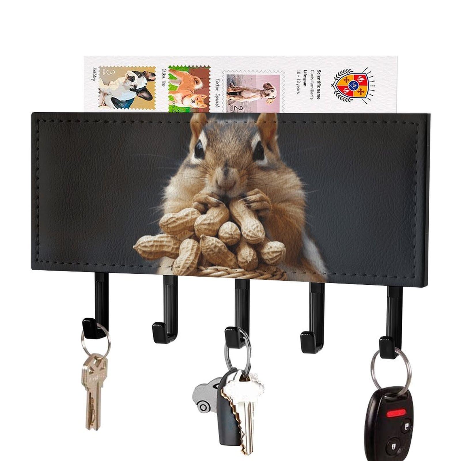 DWVTSLH Squirrel and Peanut Key Holder for Wall, Decorative Key Hooks with Mail Organizer & 5 Hooks, Self Adhesive Leather Key Hanger for Entryway, Wall Mounted Key Rack (7.1” X 4.3” X 0.9”)