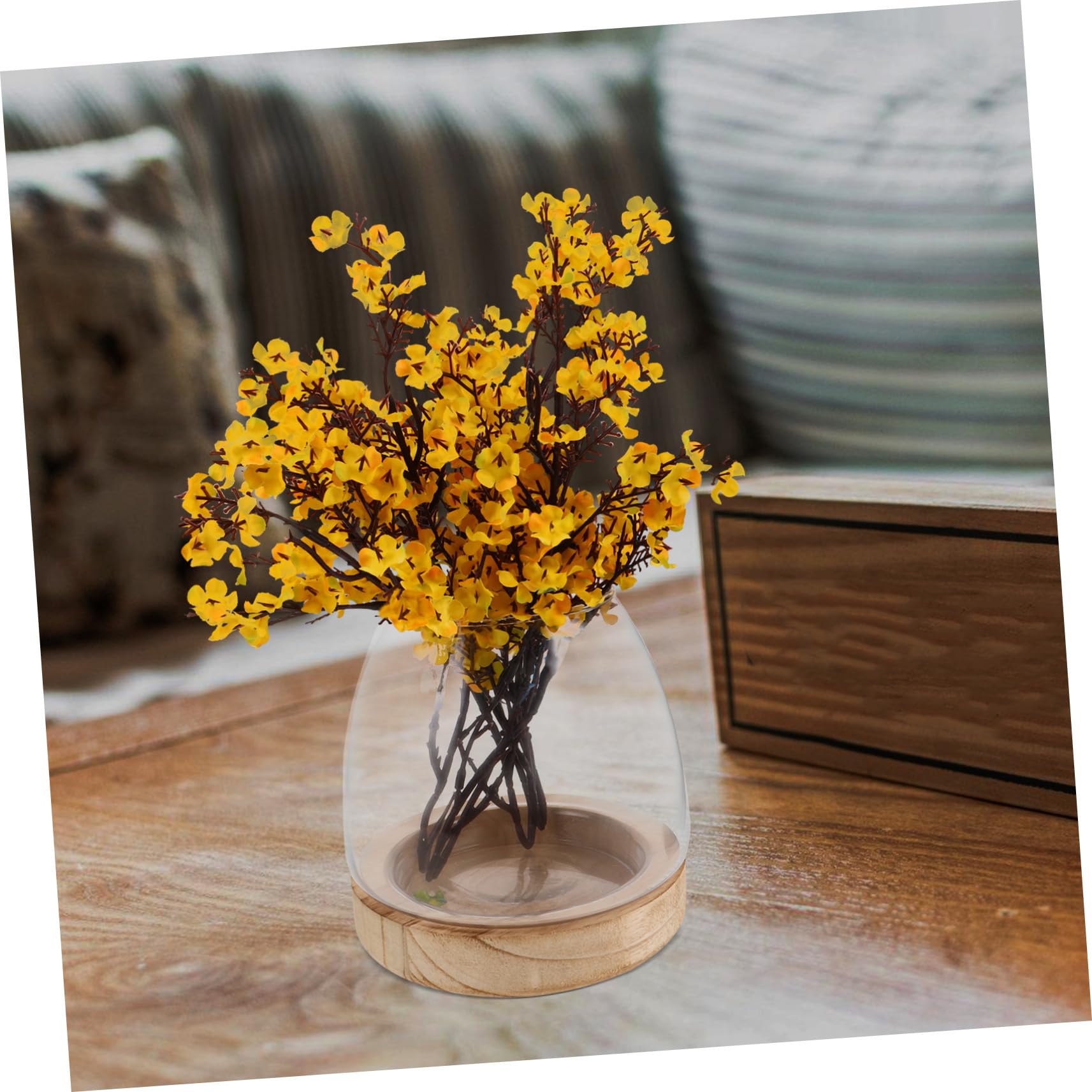 Uonlytech Vase Hydroponique Verre Transparent avec Base Bois Aquarium Décoratif pour Plantes et Poissons Vase de Bureau Compact pour Propagation Intérieur