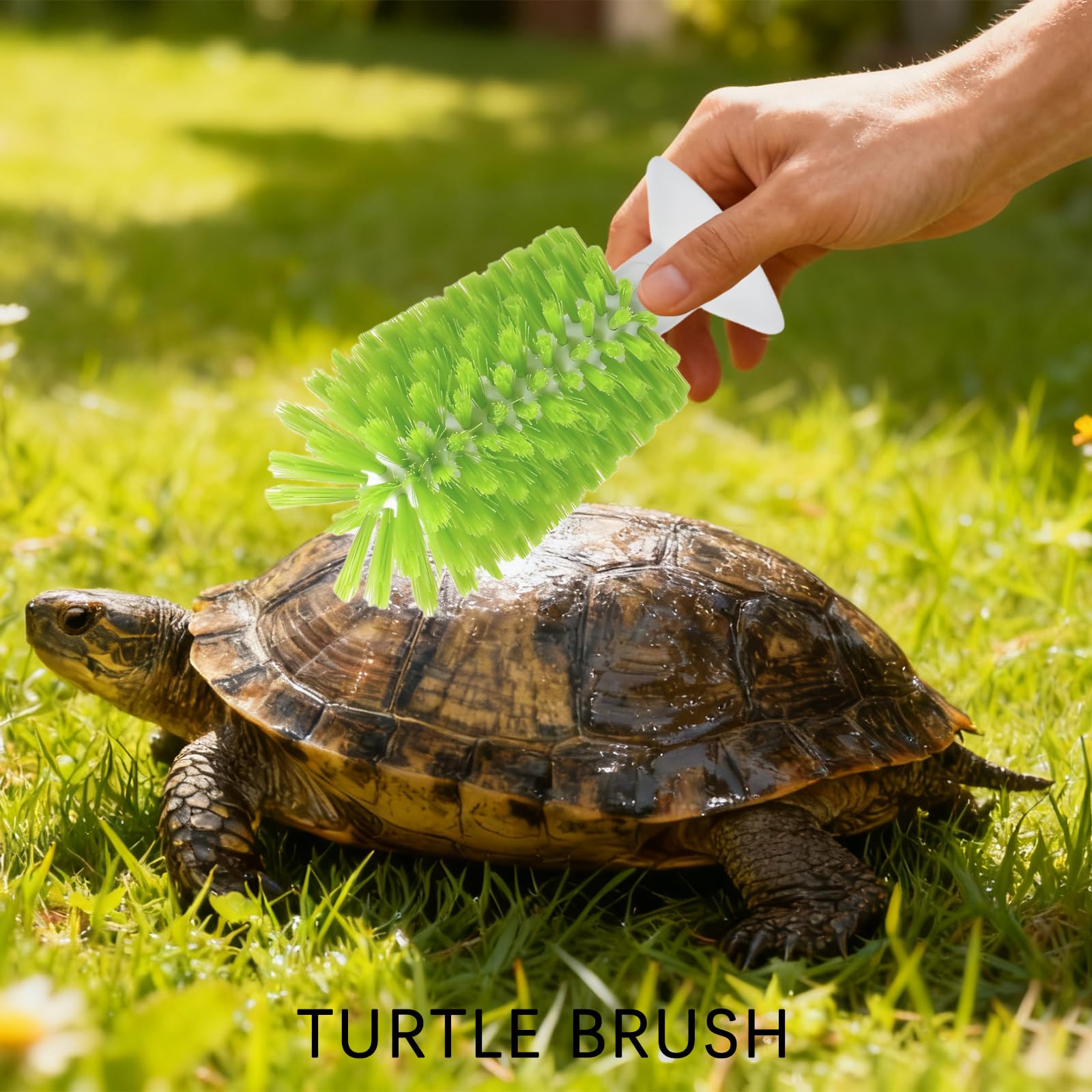 Brosse de nettoyage en forme de coquille de tortue verte avec ventouse, outils de cuisine pour la maison, brosse exfoliante pour tortue accessoires de réservoir
