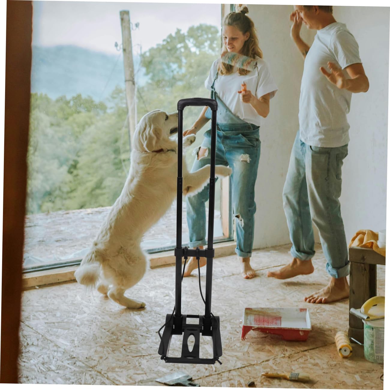 BESPORTBLE Carrito Plegable Portátil de 2 Ruedas Base de Plástico Reforzado y Cordón Elástico Ajustable Mini Trolley para Compras y Equipaje Compacto y Ligero para Viajes y Transporte