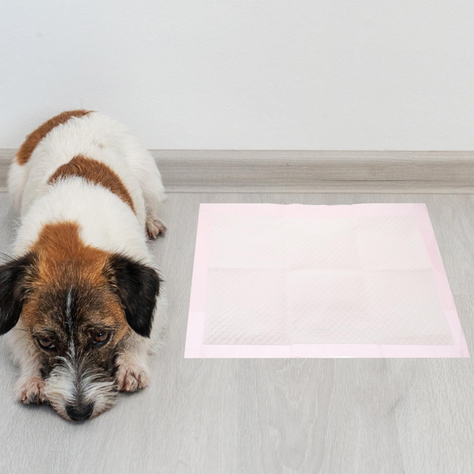 Toyvian 100 Pièces Tapis de Toilette pour Chiens, Absorbant, Non Tissé