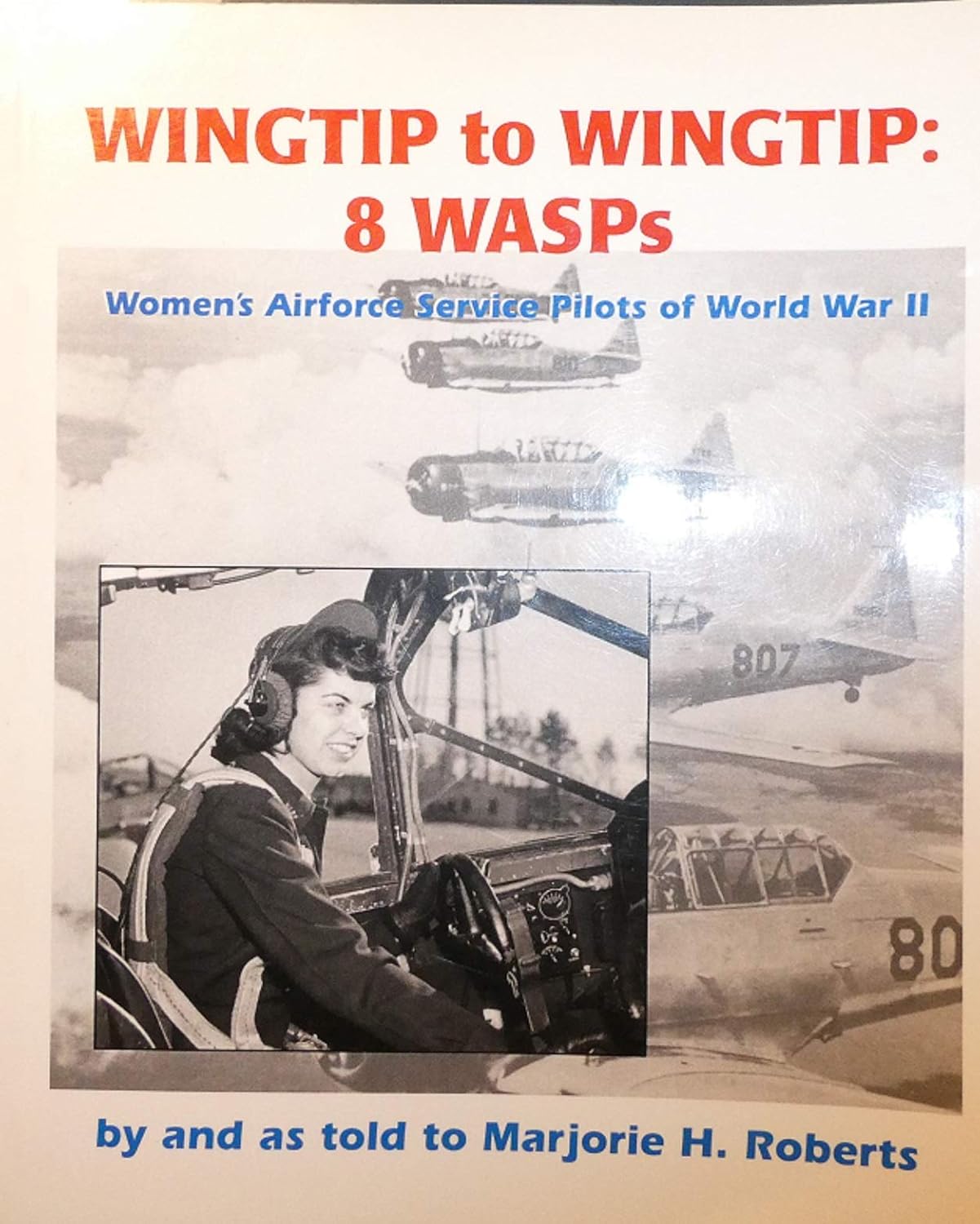 The Wingtip Wars and the Grounding of Europe