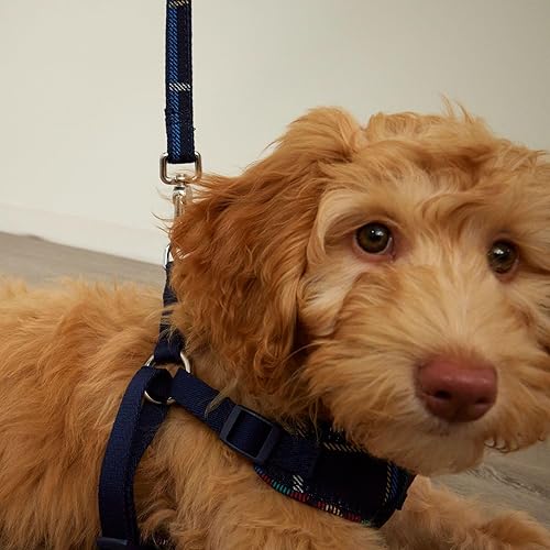 Miniatura 5 de Vera Bradley Arnés para mascotas ajustable reciclado Lighten Up repelente al agua con forro polar, Viñas de vidrio