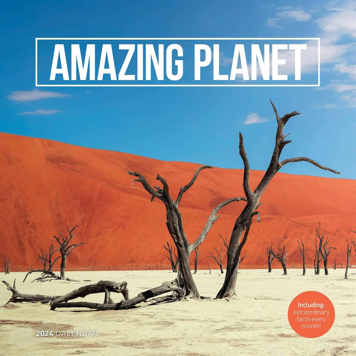 Amazing Planet Wall (PFP) Calendar 2024