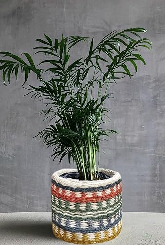 Miniatura 3 de Macetas para plantas, juego de 2 macetas de interior para todo el hogar, jardín, flores, suculentas, modernas, redondas, decorativas para interiores