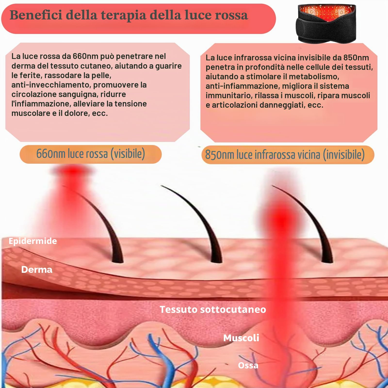 Cintura per terapia con luce rossa con massaggio e luce infrarossa 660nm 850nm, cuscinetto riscaldante per vita, schiena, lombare, spalle, pancia, sollievo dal dolore alle gambe e relax,con 5 livelli