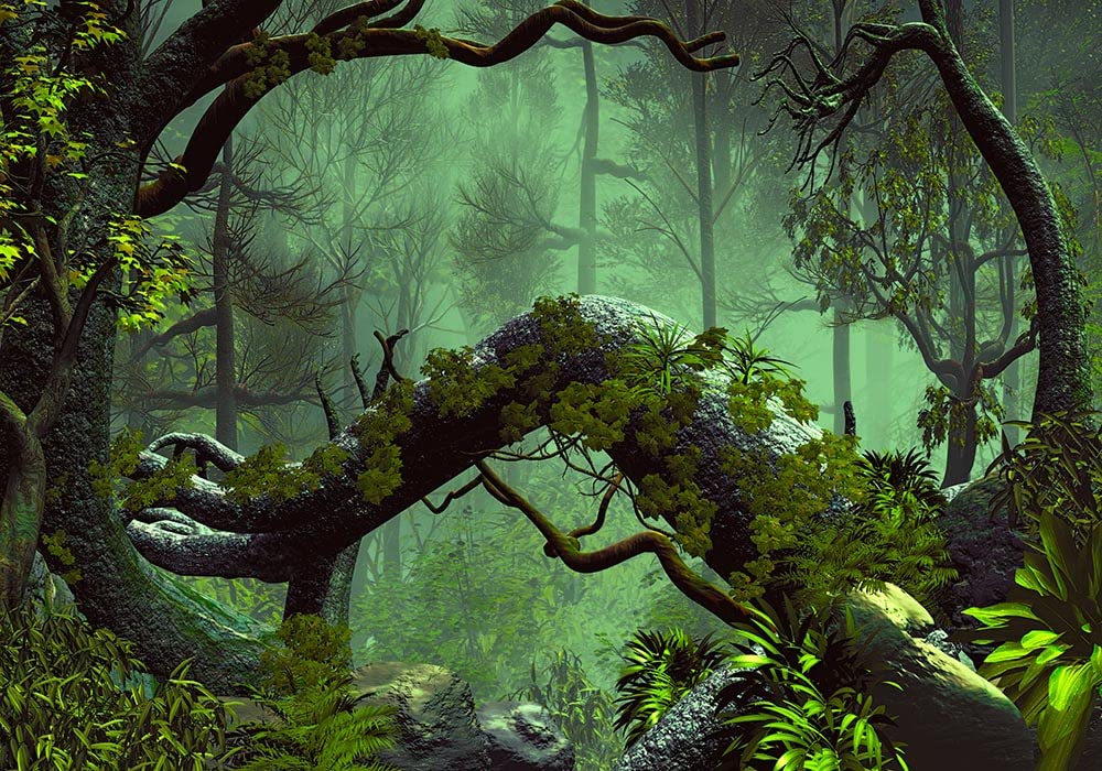 Haosphoto Tropical Forest Landscape Backdrop for Photography 7X5FT Fairytale Wonderland Woods Vinyl Backdrops Green Leaves Enchanted Background for Birthday Wedding Photo Studio Props HS615