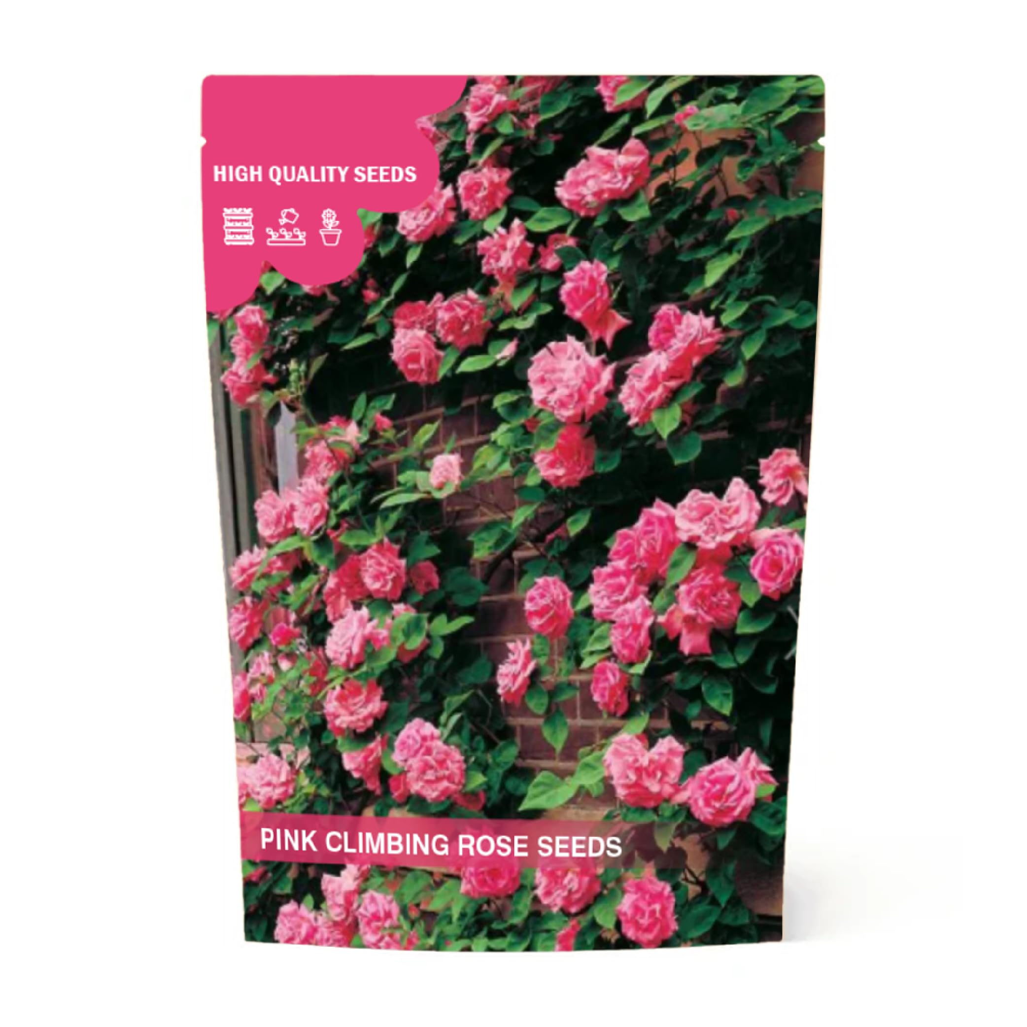 Climbing Roses Seeds | Best for Summer Grow | Pink Cl;imbing Flower Seeds | Pink Roses Seeds for Garden | Outdoor Flower Seeds