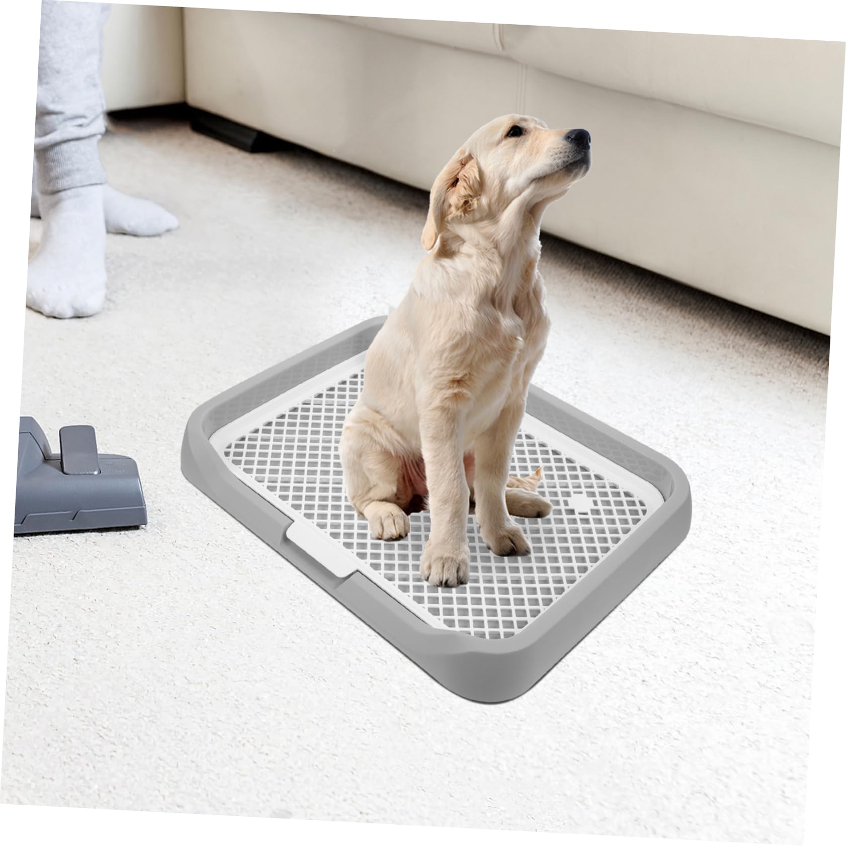 Balacoo Dog Pee Holder Tray Indoor Potty Tray for Dogs Plastic Puppy Toilet Pet Toilet Training Aid