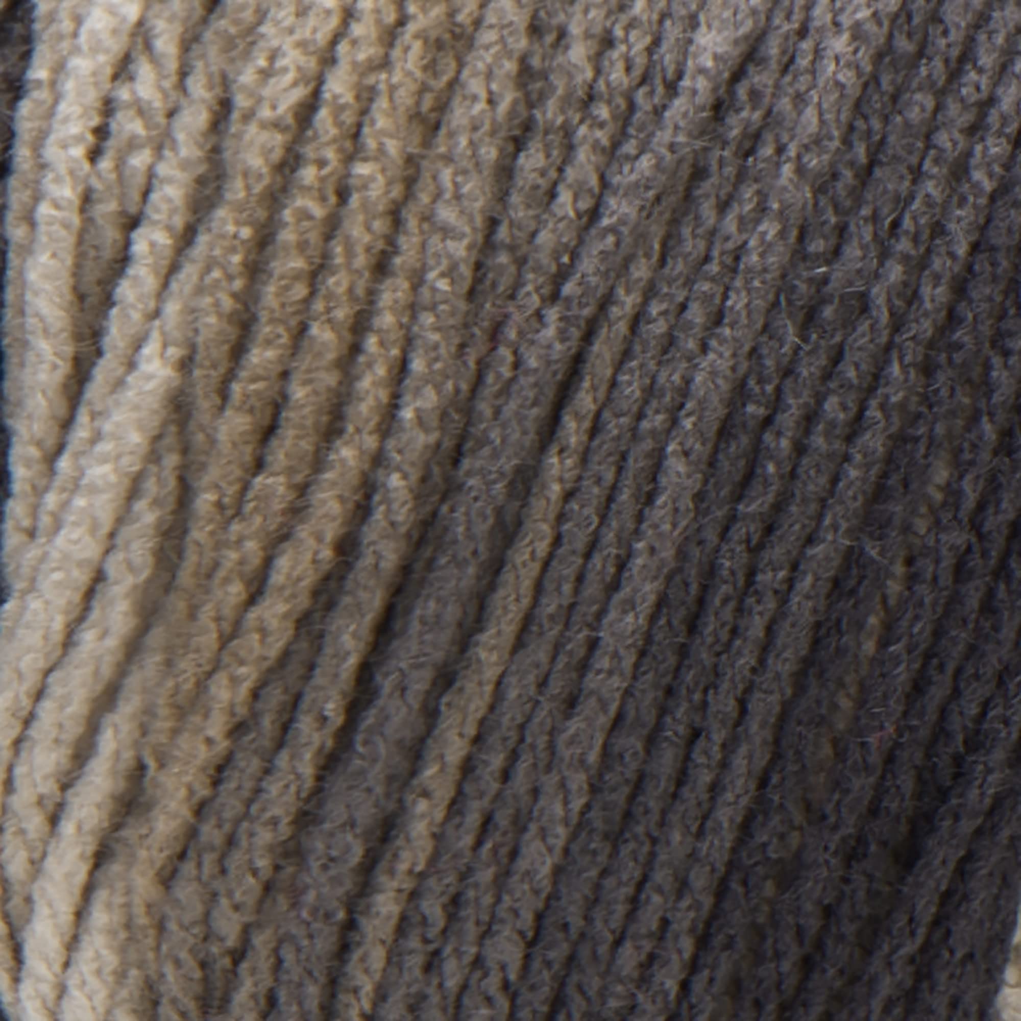 Red Heart Super Saver Jumbo-Hickory-Ombré-Garn, Acryl, 4 Medium (Kammgarn), 482 Meter, 2 Stück