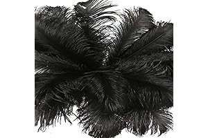 AABABUY 10pcs Black Ostrich Feathers 18-20 Inches for Home Decoration
