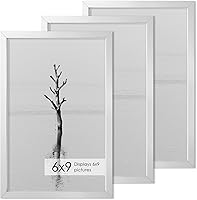 Vista 339 de Fun Memories Portarretratos de metal de 16 x 20 pulgadas con paspartú de 11 x 14 pulgadas, acabado de aluminio cepillado, parte delantera de vidrio