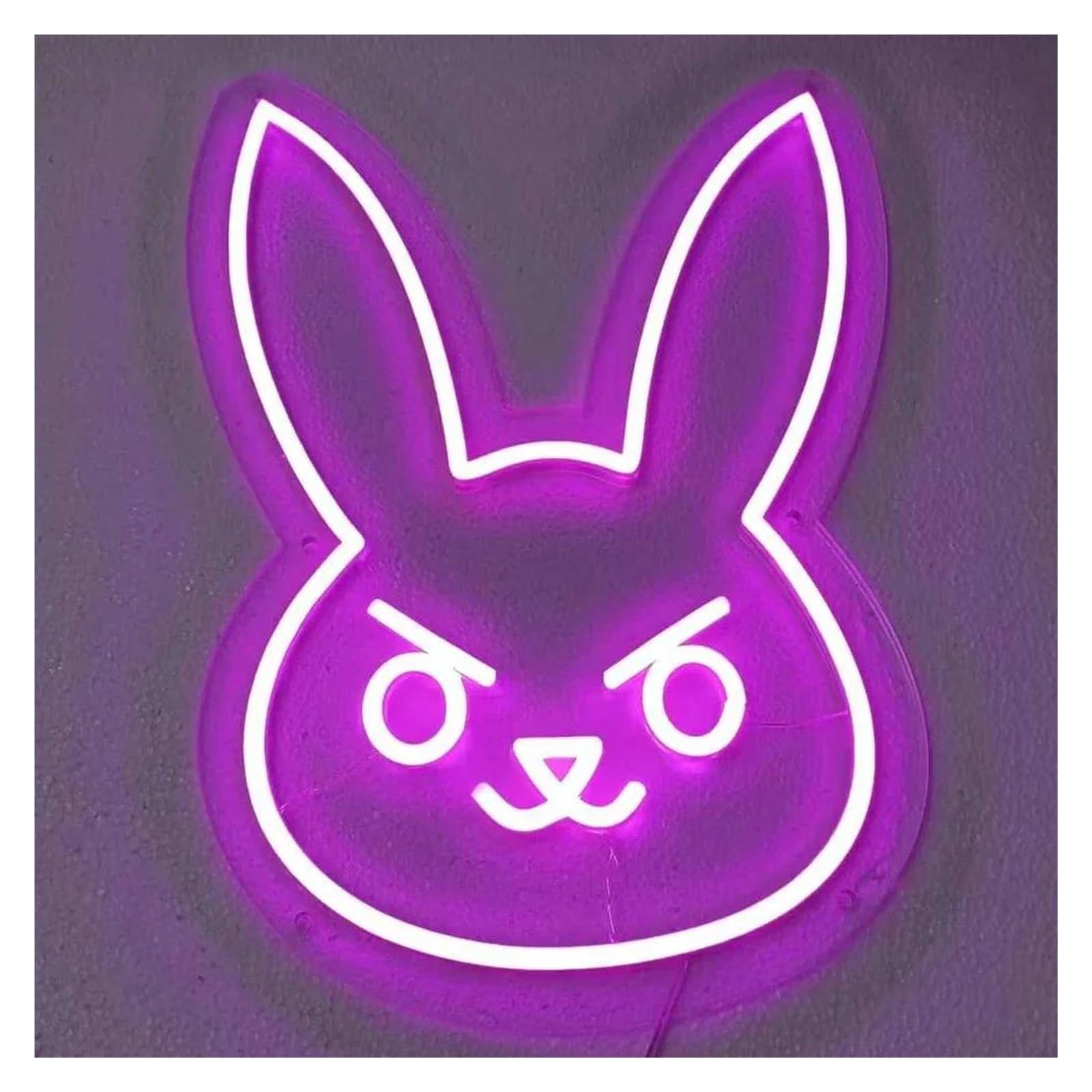 LEMST Signs Lamp Rabbit Neon Sign USB Powered Adjustable Brightness Rabbit Neon Lights, Suitable for Wall Hanging Decor Signs(C,40.6X29.2CM)