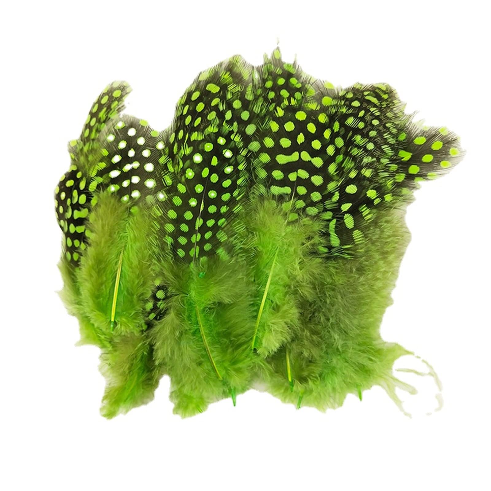 Guinea Fowl Feathers, 100 Pack 6-12cm/2.36-4.72 Inch Natural Speckled Feathers for DIY Art Craft Collage Headdress Home Wedding Birthday Party Decoration (Green)
