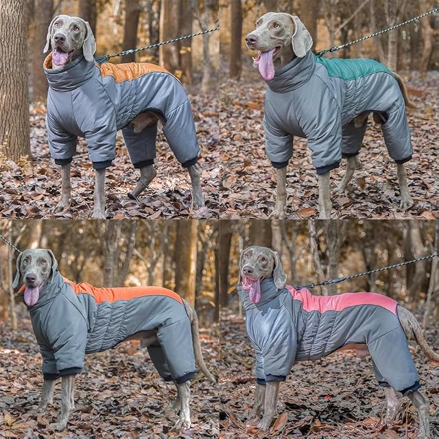 Foto 4 de 6 de Chaqueta cálida de plumón para perros grandes, ropa gruesa de invierno, abrigo impermeable para perros