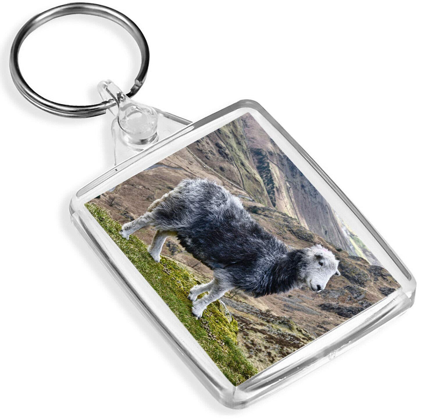 Destination Vinyl Keyrings Unisex Multi Beautiful Herdwick Sheep Keyring Farm Farmer Wool Keyring #12563