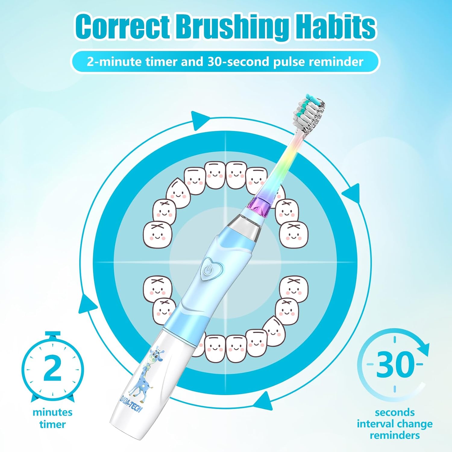 Diagram illustrating the 2-minute timer and 30-second pulse reminder for proper quadrant brushing