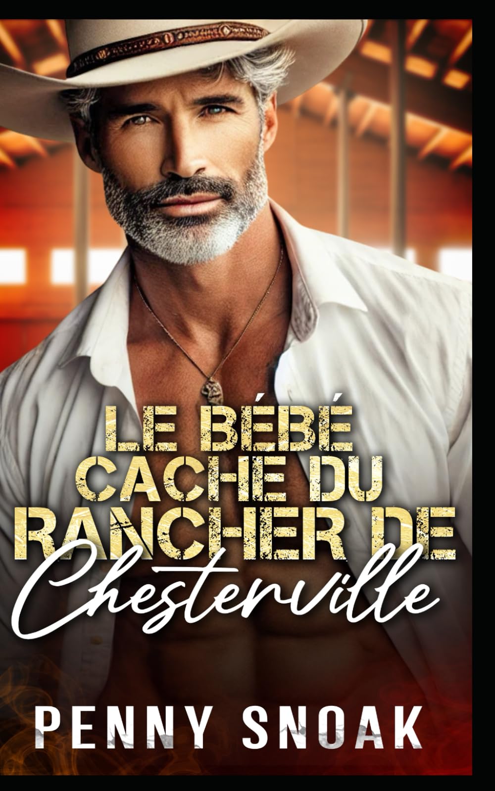 Le Bébé Caché du Rancher de Chesterville: Une romance avec un éleveur : une seconde chance et un bébé secret: 1 (Série Les Secrets Interdits de Chesterville)