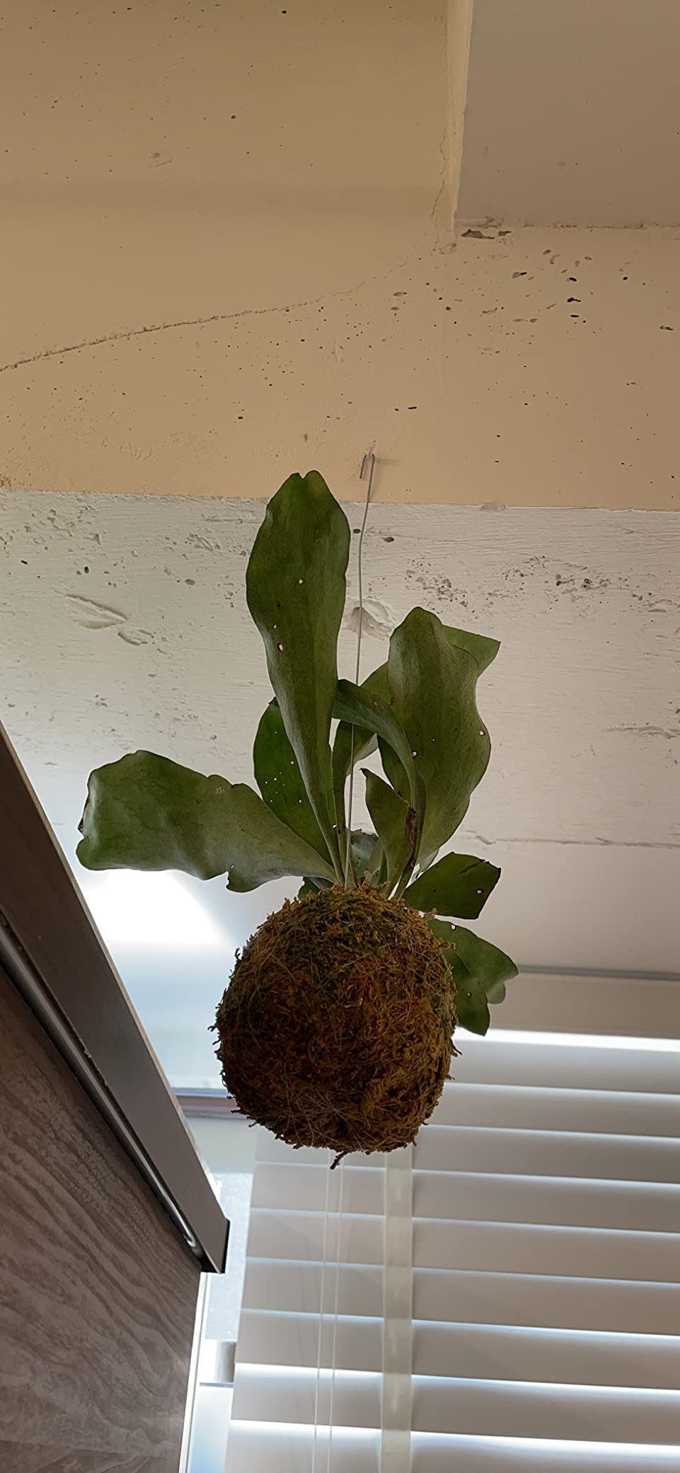 お客様イメージ