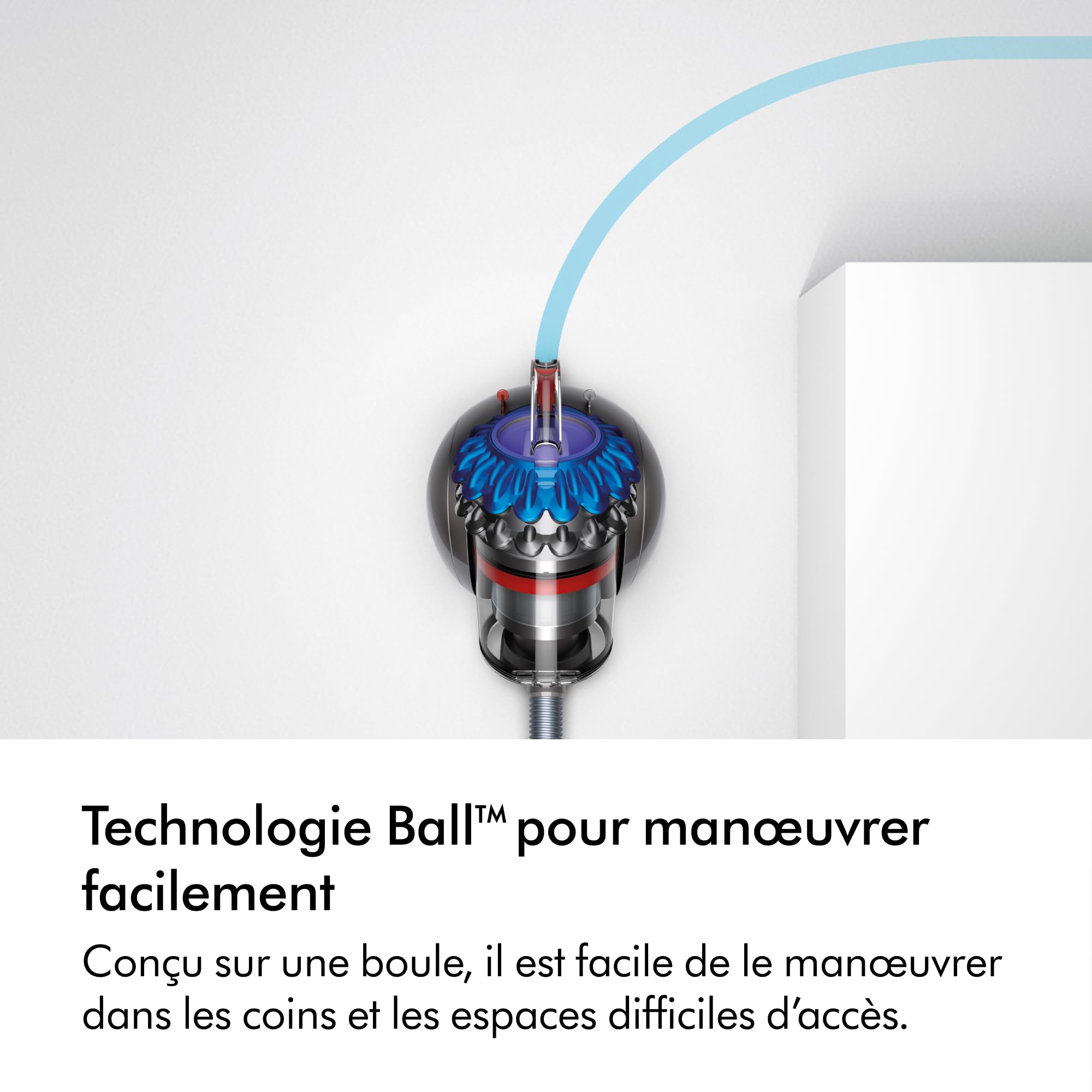 Dyson Big Ball™ Aspirateur traîneau Absolute 2 – 19 Cyclones compacts pour Une Capture maximale de saleté, pour Tous Les sols