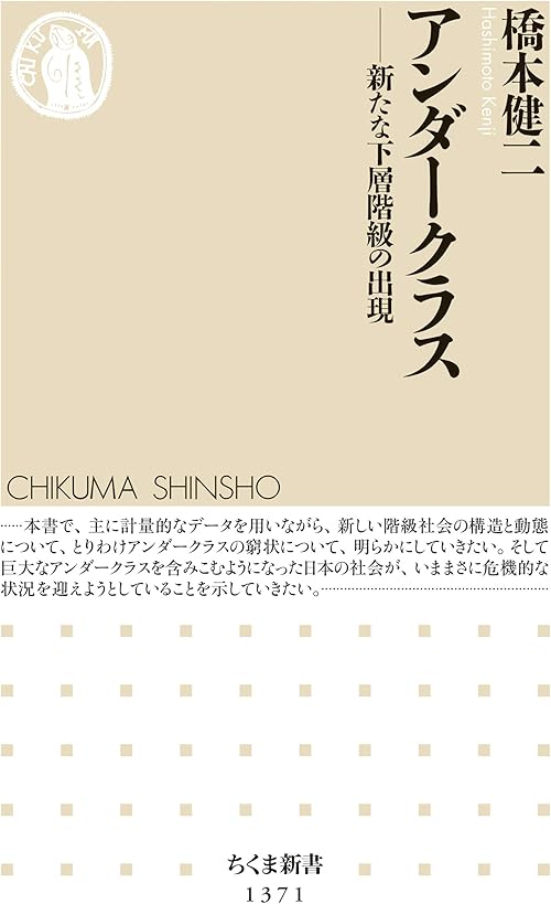 アンダークラス　──新たな下層階級の出現 (ちくま新書)