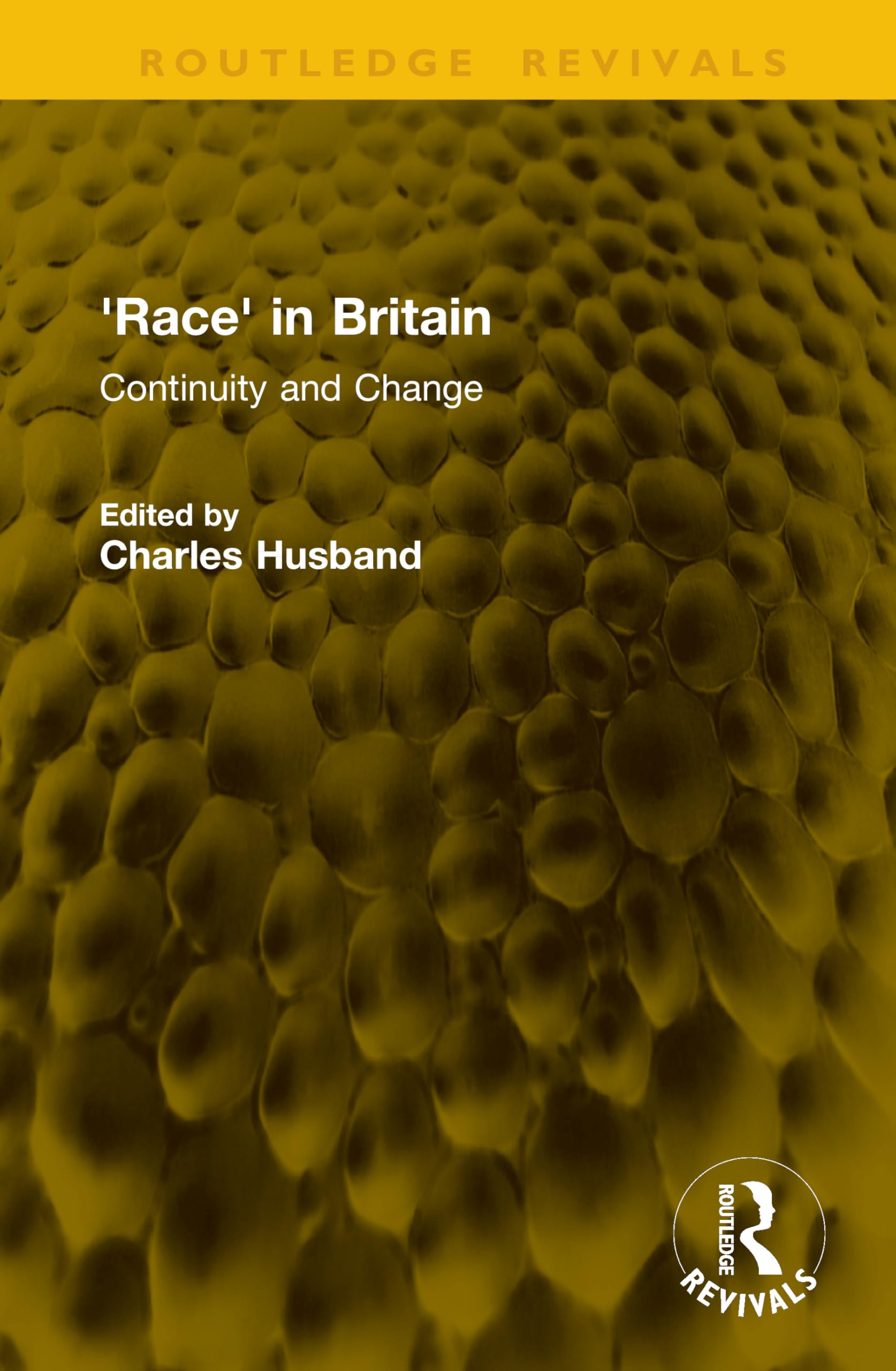 'Race' in Britain: Continuity and Change (Routledge Revivals)