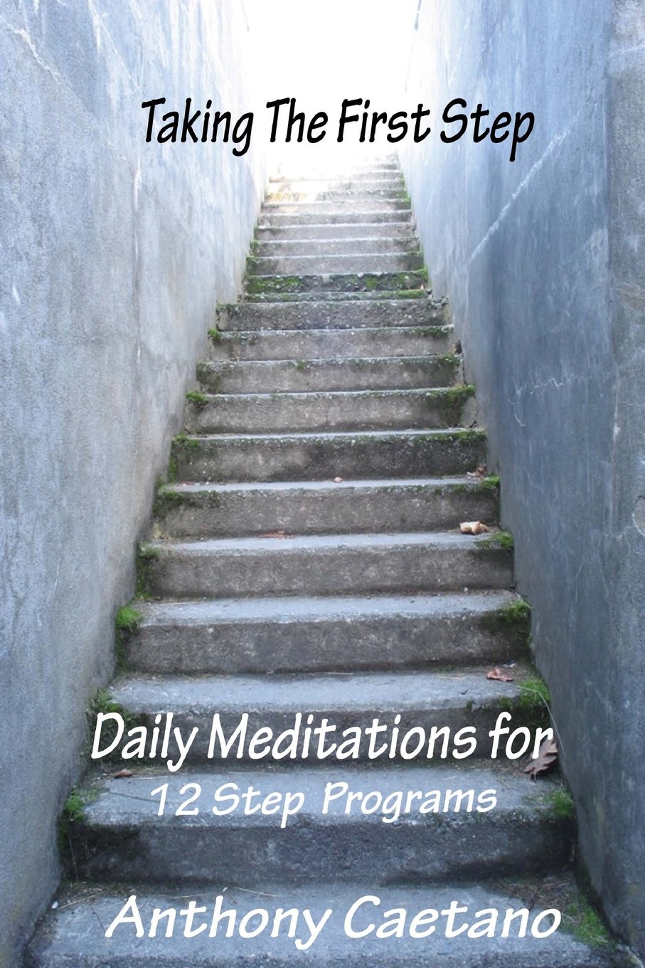 Taking the First Step: Daily Meditations for Twelve Step Programs