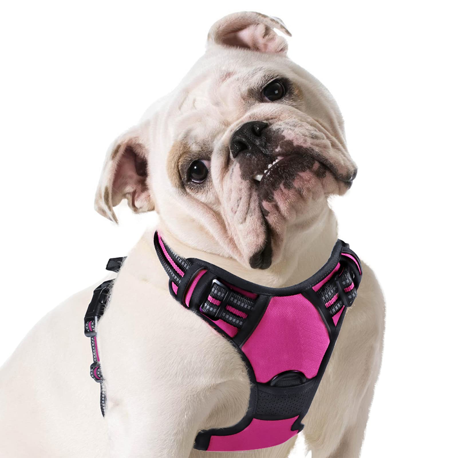 Eagloo Dog Harness No Pull, Walking Pet Harness with 2 Metal Rings and Handle Adjustable Reflective Breathable Oxford Soft Vest Easy Control Front Clip Harness Outdoor for Medium Dogs Rose Red