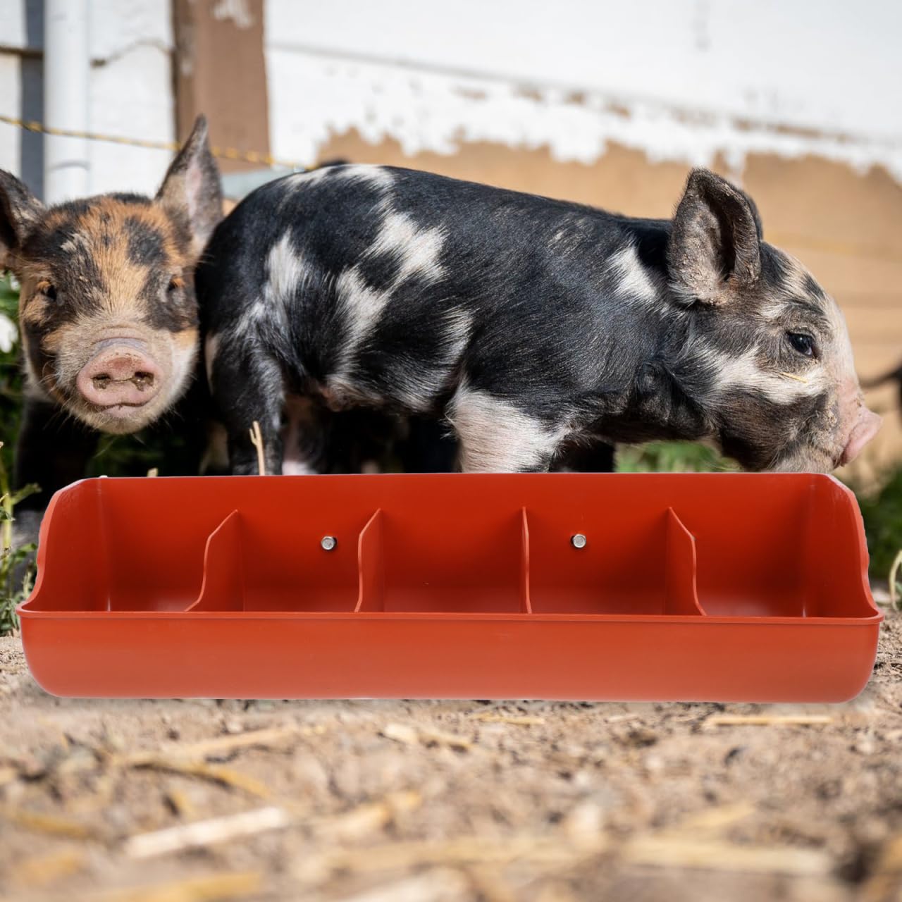 POPETPOP Comederos colgantes para aves de corral: 2 comederos de pollo, contenedor de alimentación de cerdos para pollo, pato, cabra, cerdo, aves de corral, ganado, 5 compartimentos