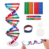 NUOBESTY DNA Model Kit Double Helix Structure Model, 13 in Assembling Biology Teaching Aid with Stand, Color-Coded Base-Pairing A-T G-C, STEM Classroom Science Fair Display for Ages 12+