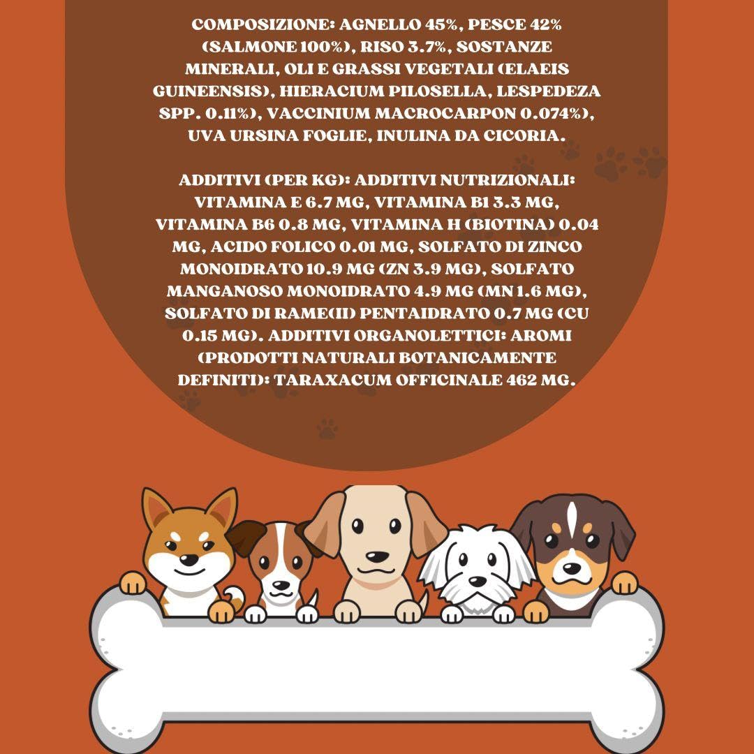 Forza 10 Umido Cane RENAL, alimento completo dietetico per cani adulti di tutte le taglie e razze con disturbi renali gusto PESCE e AGNELLO, for dogs, renal | 6 scatolette da 390 grammi l'una.