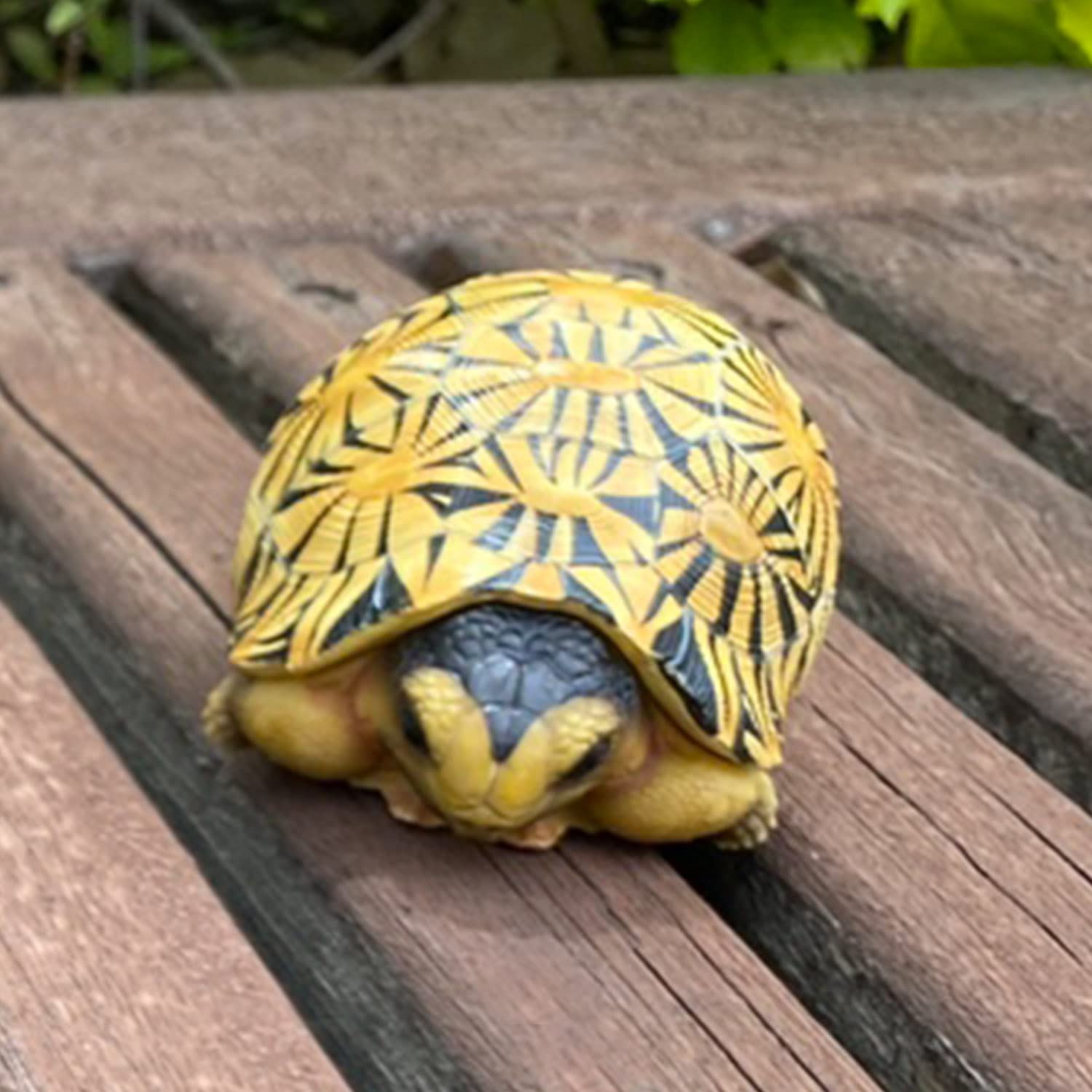 Amazon | Bignick 亀 カメ 動物 模型 縁起物 吉兆 置物 飾り