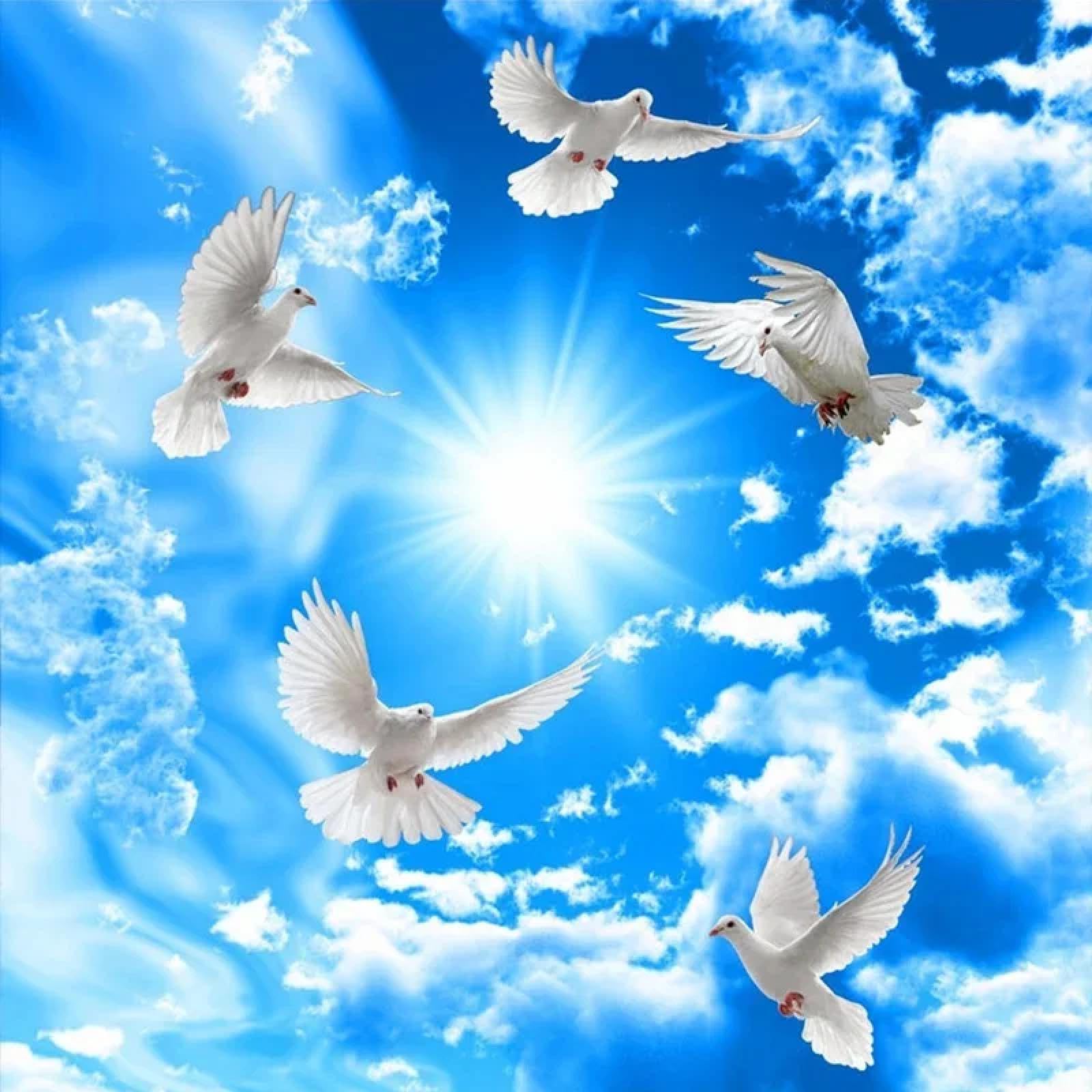 Photo murale 3D ciel bleu nuages déco plafond chambre