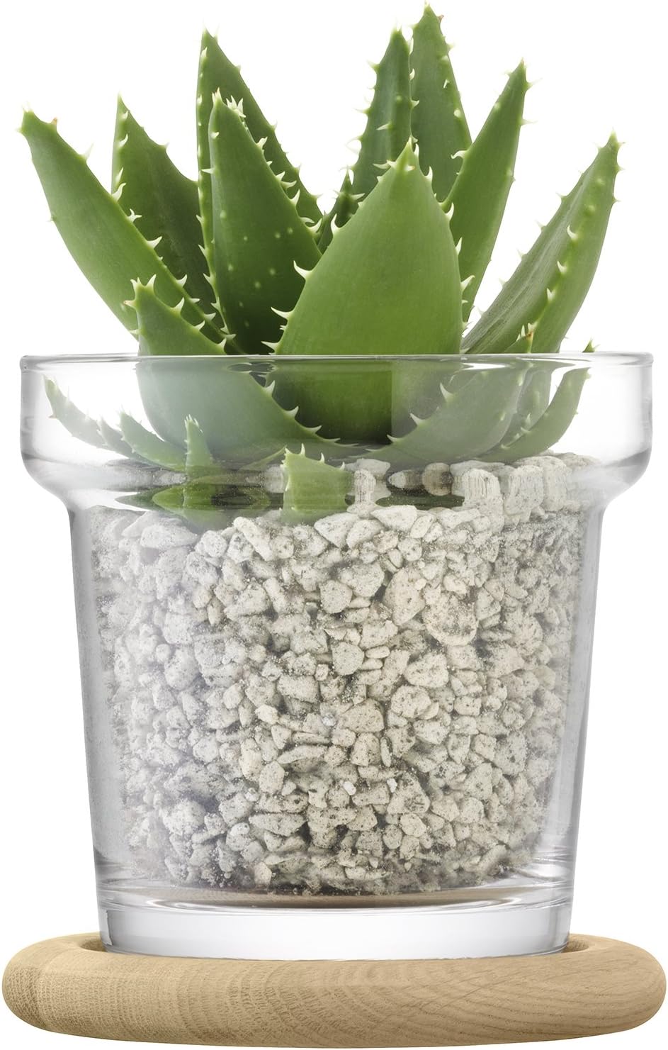 LSA PN01 Plant Trio Pot Set & Oak Base H4.5 in Clear