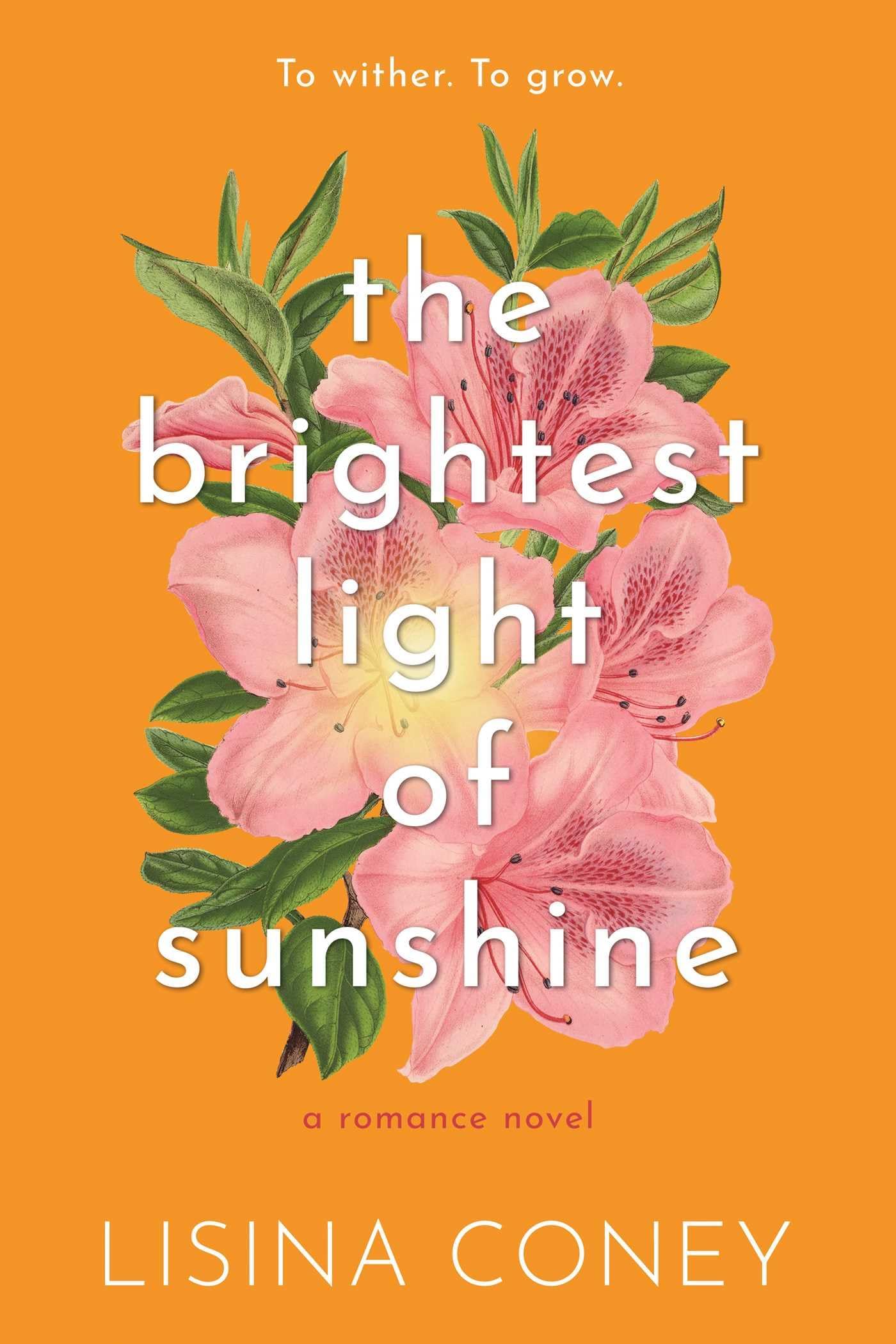 - Brightest Light of Sunshine