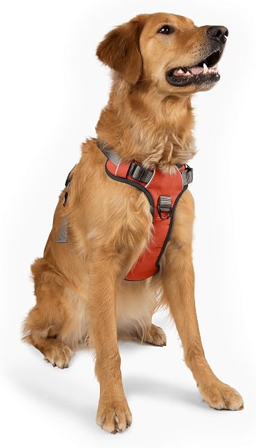 Embark Pets Adventure Dog Harness, No Pull Dog Harness with 2 Leash Clips, Dog Harness for Large Dogs anti pull dog harness Front & Back with Control Handle, Adjustable, Soft & Padded Puppy Harness