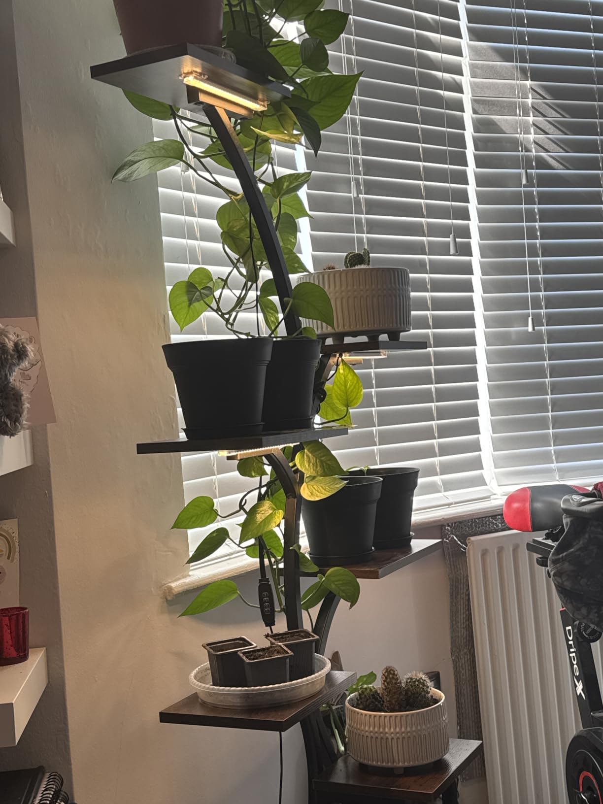 Customer photo