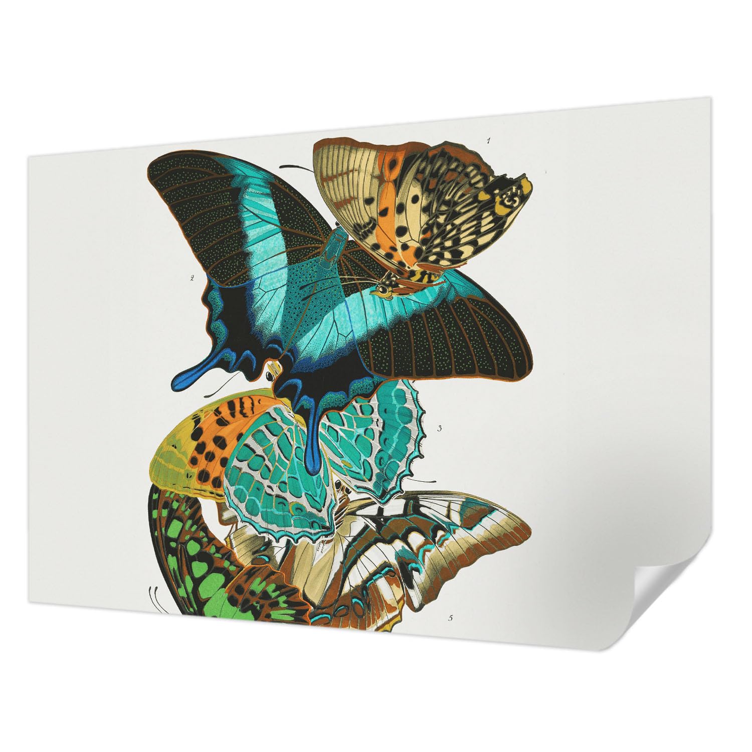 Décoration murale adhésive résistante aux taches 208x146 cm Tulup papillons colorés haute qualité