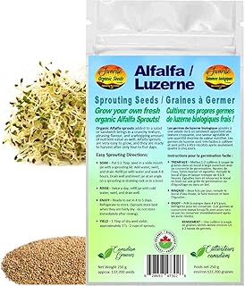 Alfalfa Sprouting Seeds | Luzerne Graines à Germer | Certified Organic & Non-GMO | Net Wt. 250 Grams (Approx. 137,700 Seeds) | High Germination Rate | Product of Canada