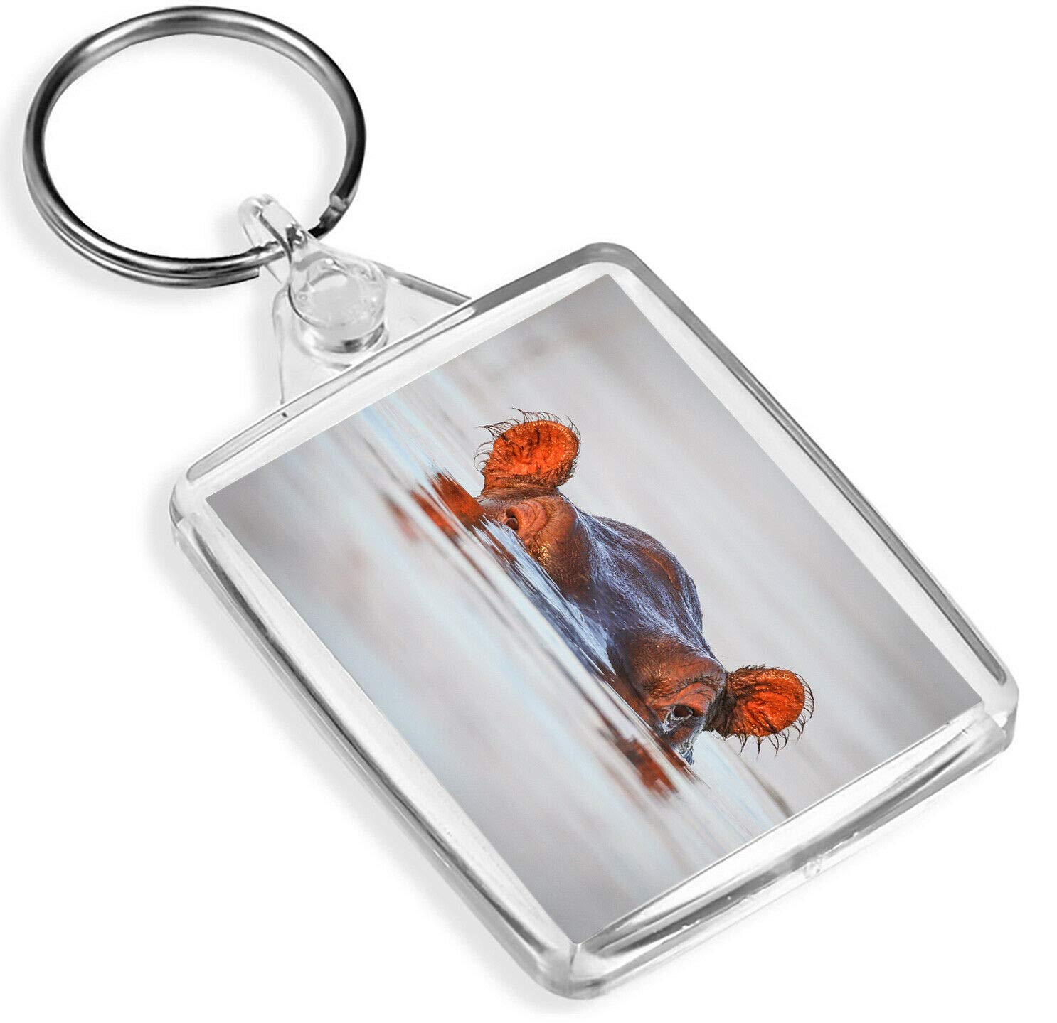 Destination Vinyl Keyrings Unisex Multi Funky Hippopotamus Keyring Wild Animal Africa Hippo River Sea #15643